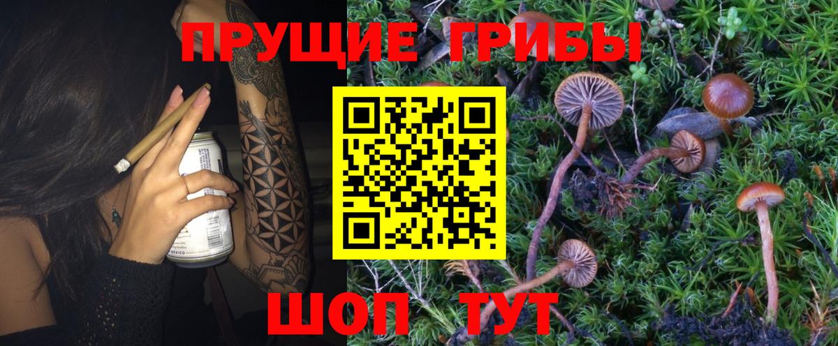 Галлюциногенные грибы мухоморы Урус-Мартан