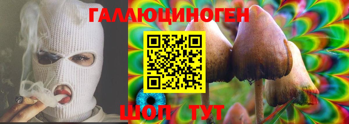 Галлюциногенные грибы Cubensis  Вход с VPN  Урус-Мартан 